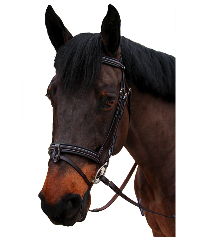 Bridon Canter "Bombé 1/2 rond Nino"