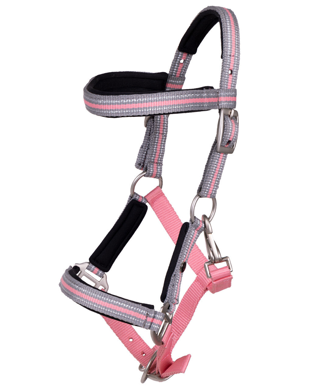Licol avec frontal QHP "Flore"