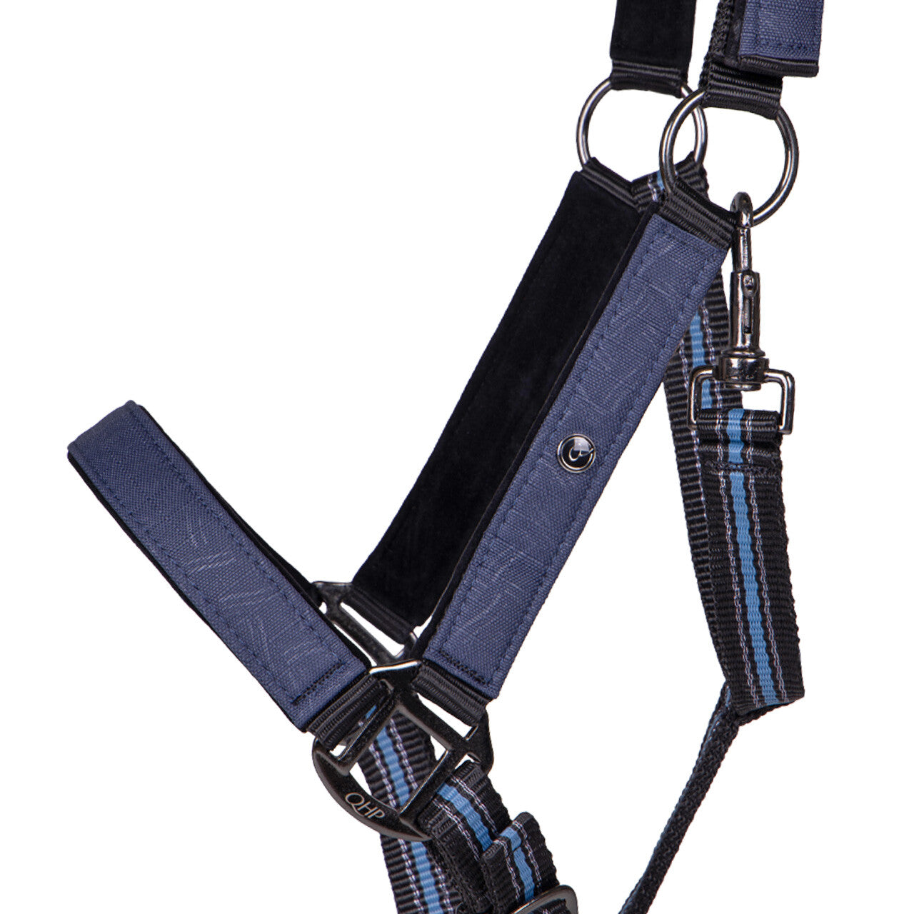 Licol + Longe QHP "Collection" - Sapphire