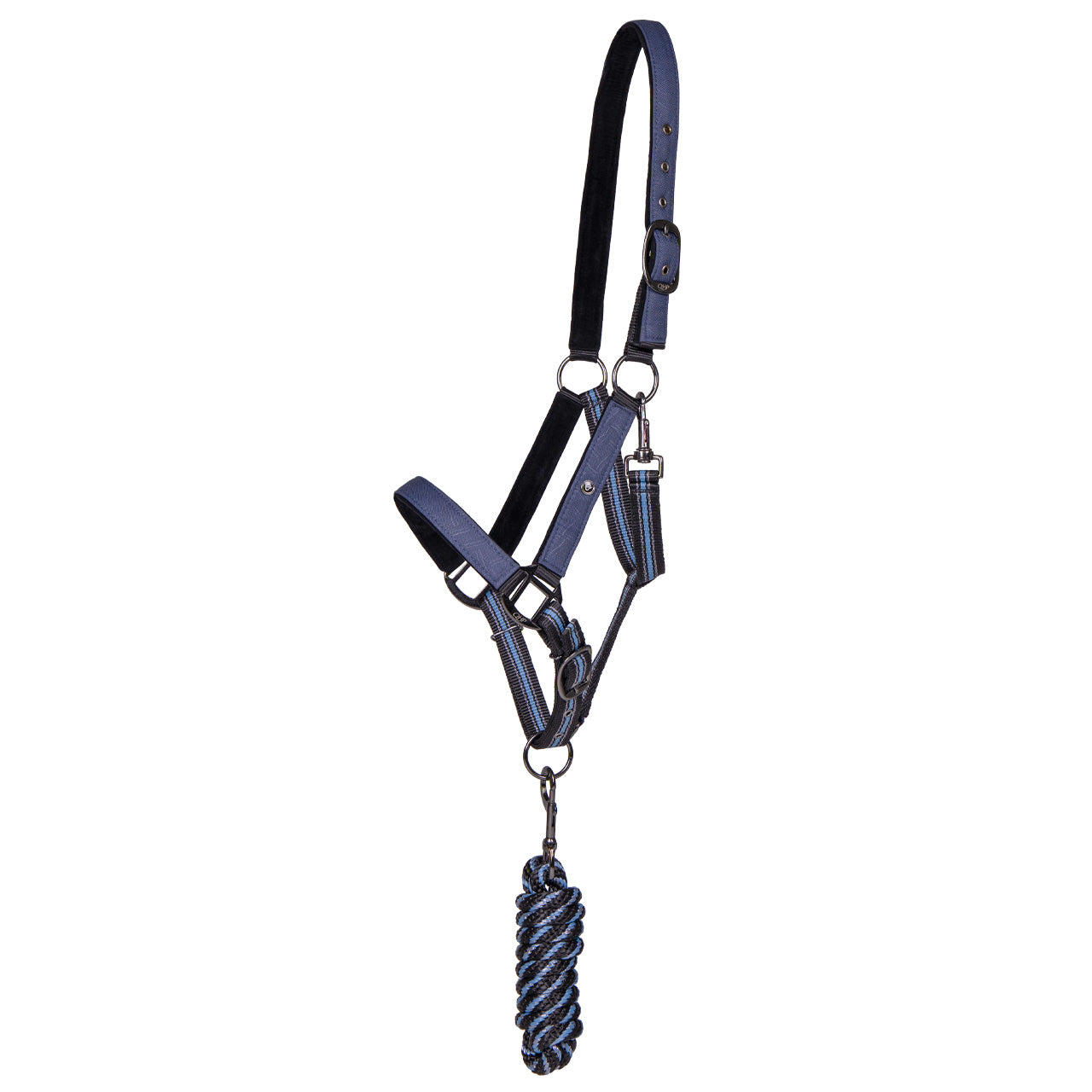 Licol + Longe QHP "Collection" - Sapphire