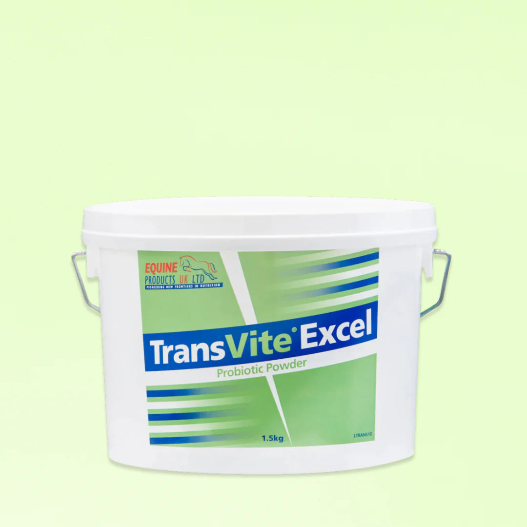 Transvite excel probiotique et prébiotiques