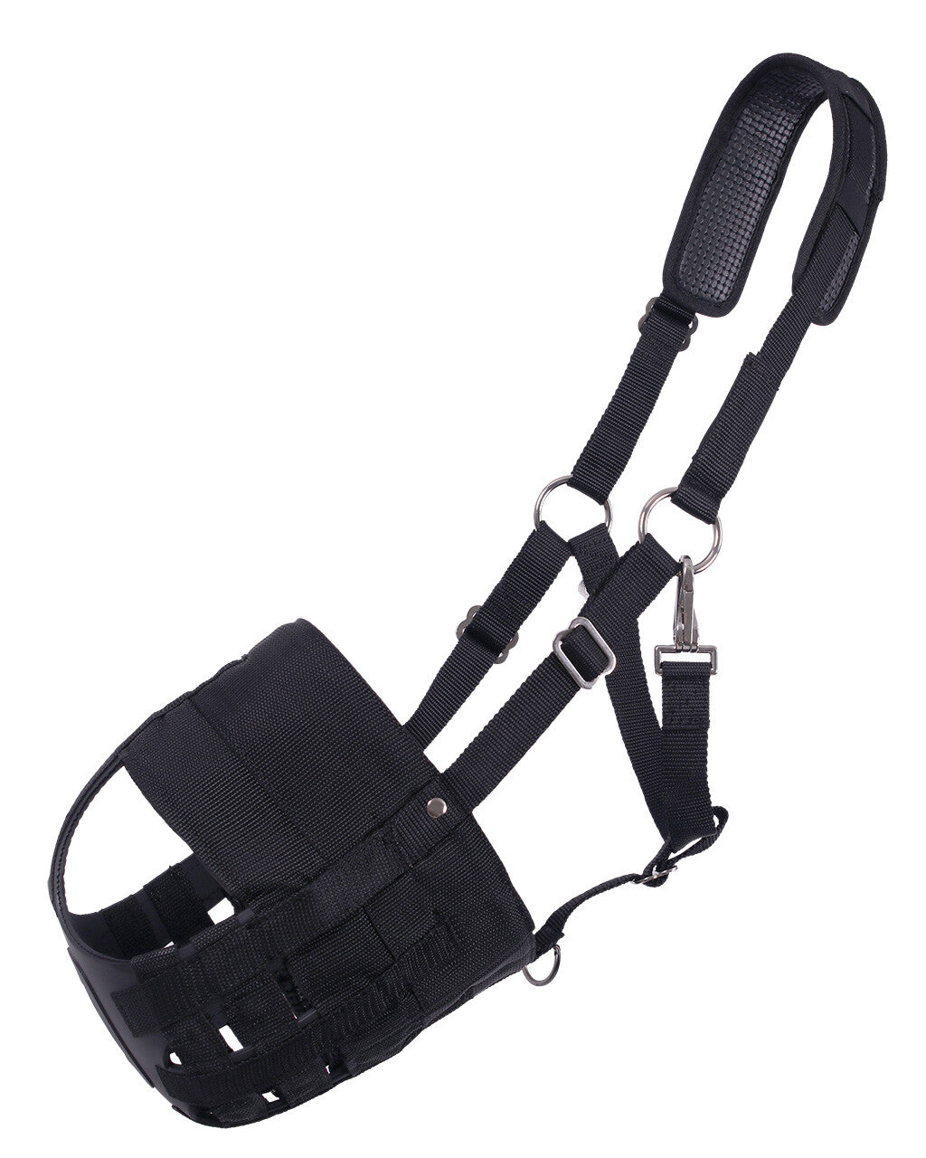 Pannier chevaux QHP