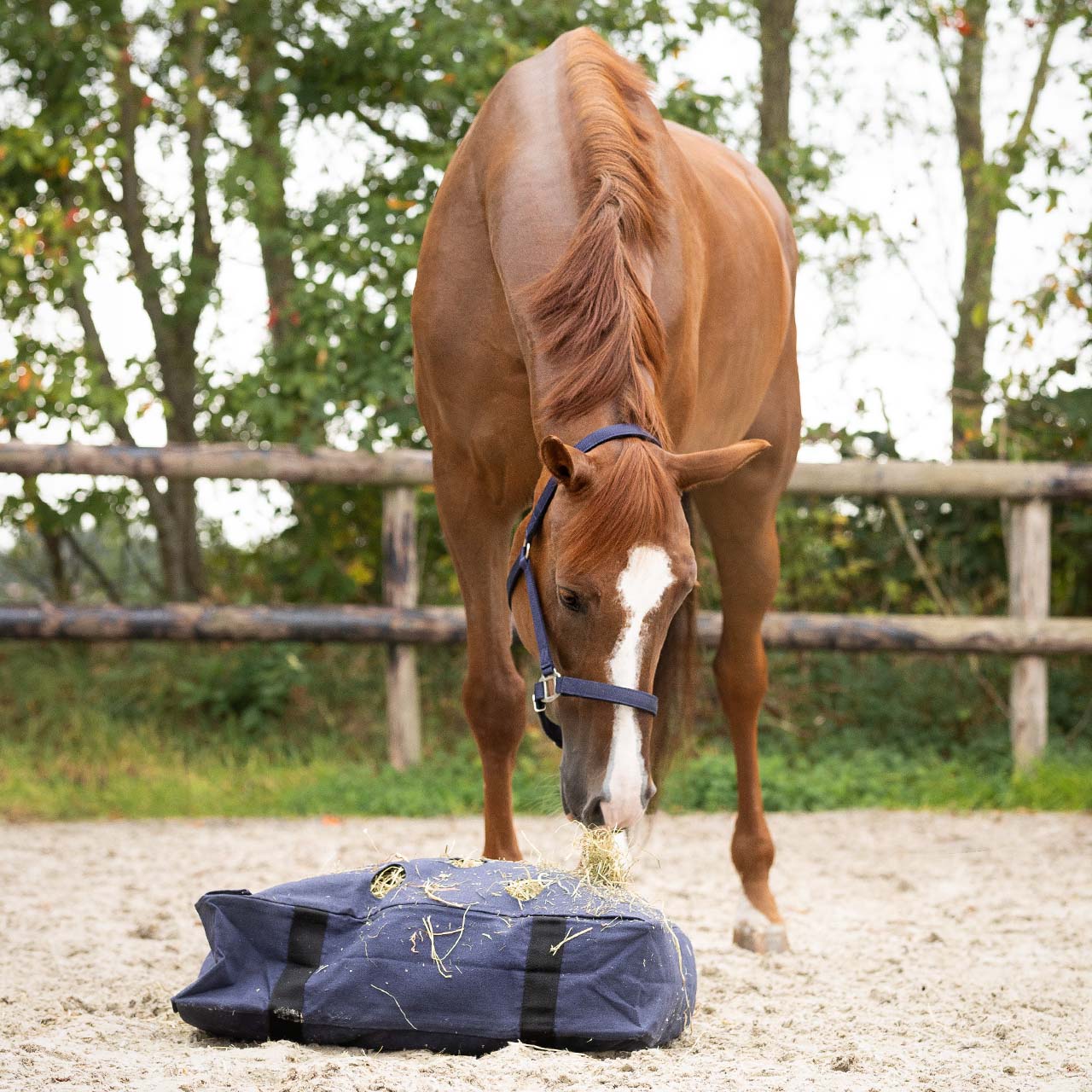 Coussin à foin QHP