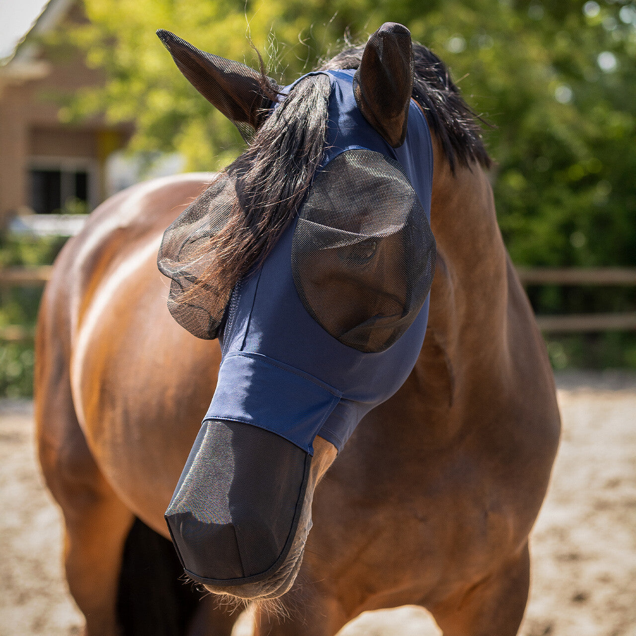 Masque anti-mouches QHP "Super Bug" avec nez