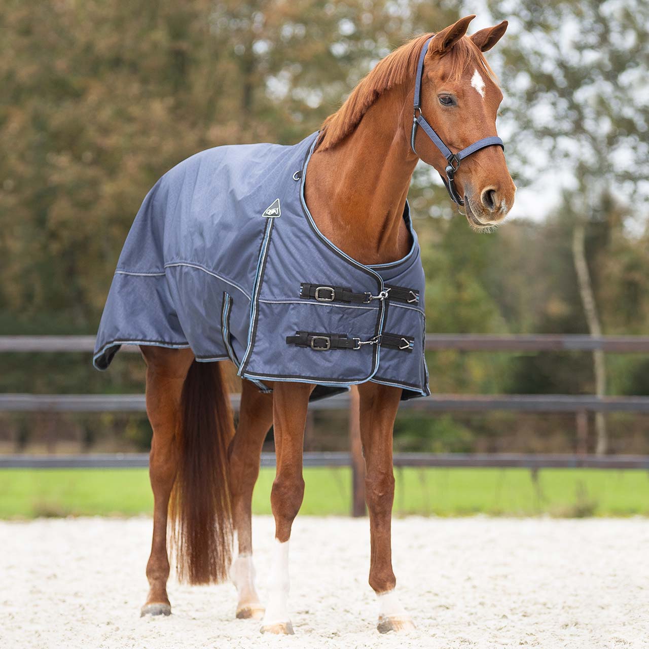 Couverture de paddock QHP "Sapphire" 50gr 1200D