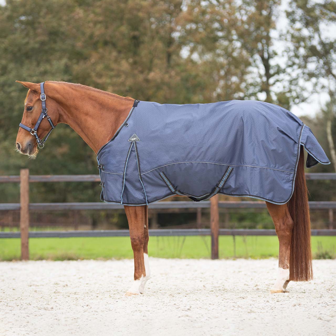 Couverture de paddock QHP "Sapphire" 50gr 1200D