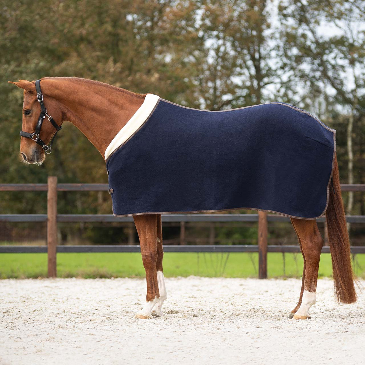 Couverture polaire luxe QHP