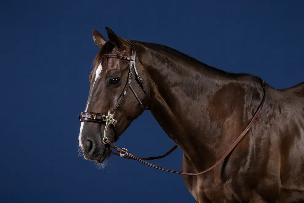 Bridon Hackamore Dyon