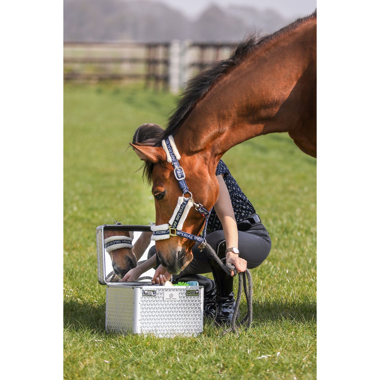 Malle de pansage Imperial riding