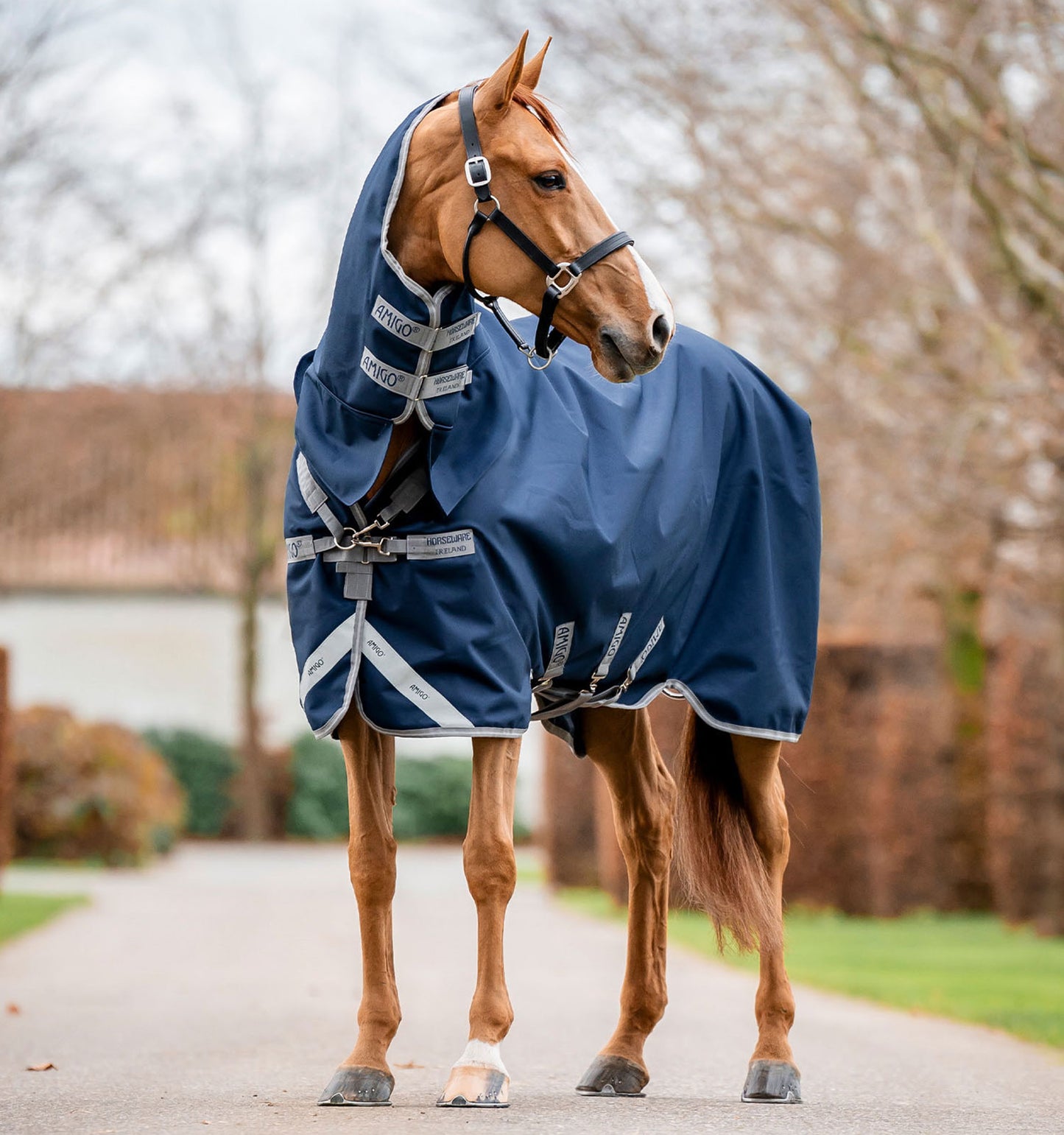 Couverture de paddock Horseware "Amigo Integrale " 250gr 1200D