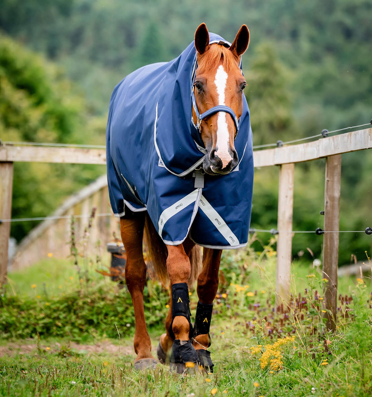 Couverture de paddock Horseware " Amigo Bravo 12 plus" 250gr 1200D