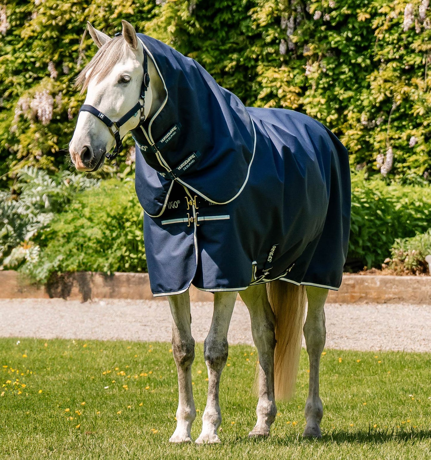 Couverture de paddock Horseware Amigo Ripstop plus 900D 0gr