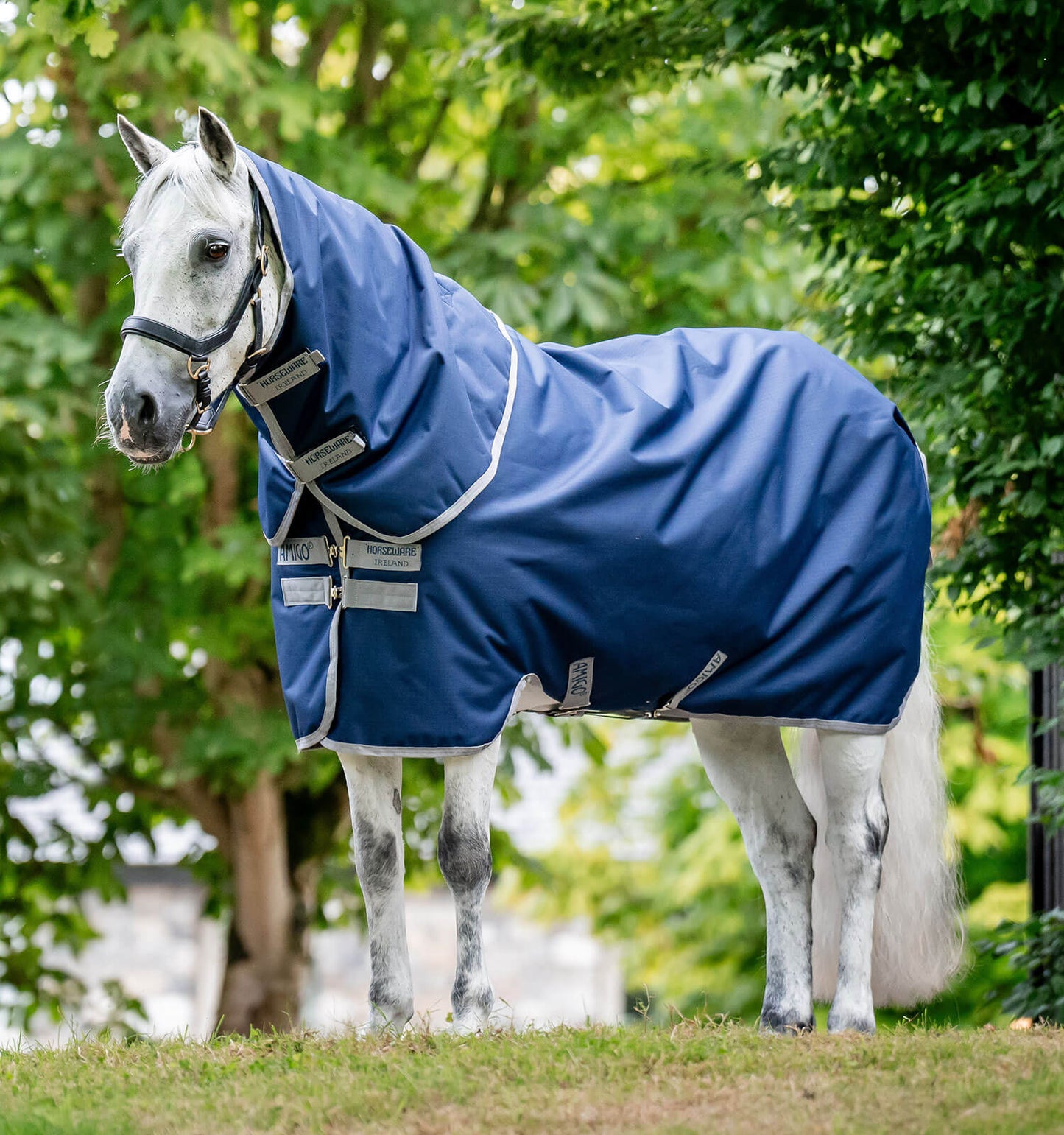 Couverture de paddock Horseware "Amigo Ripstop 900D Plus" 200gr Special Poney