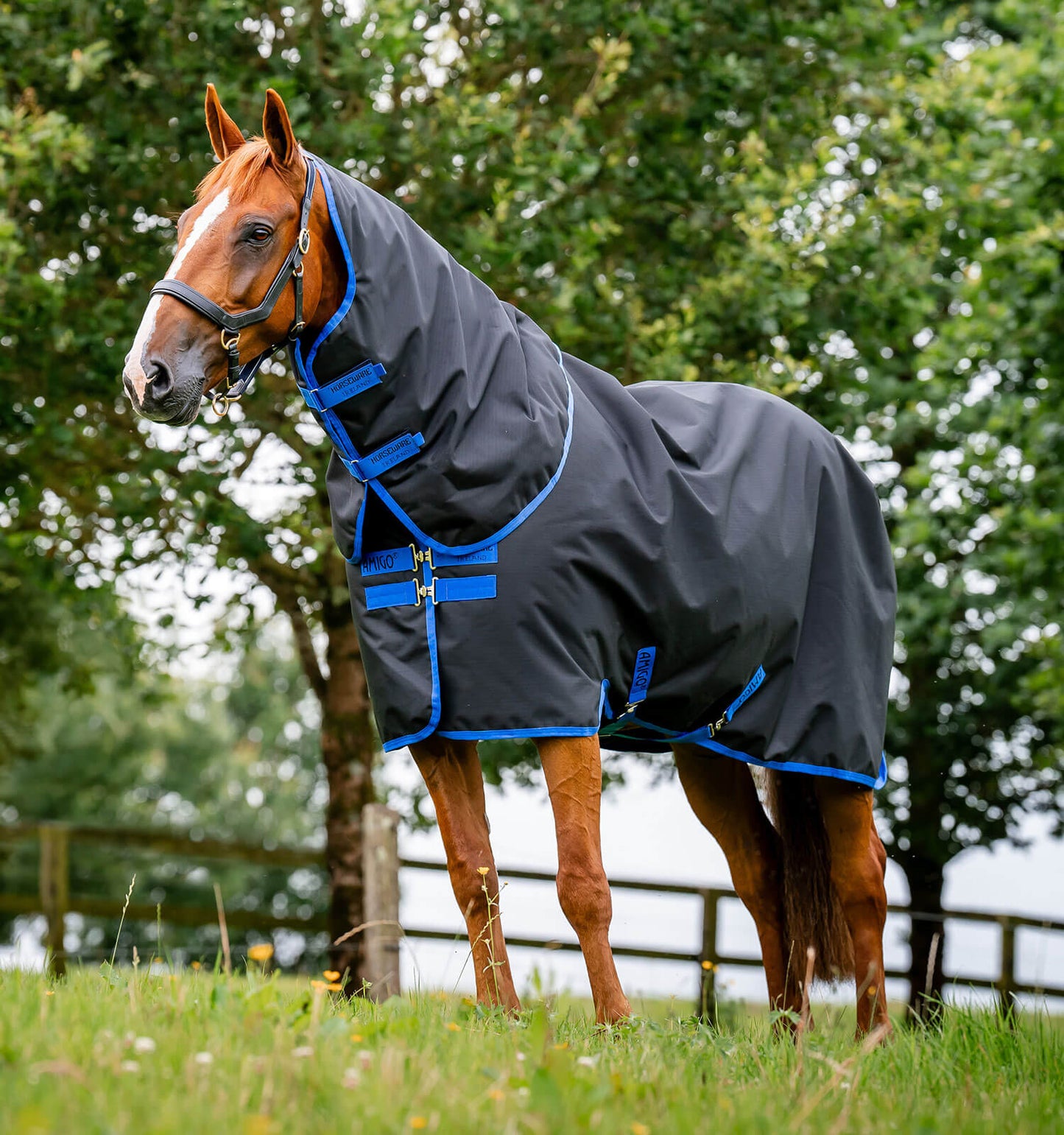 Couverture de paddock Horseware "Amigo Ripstop 900D Plus" 200gr Special Poney