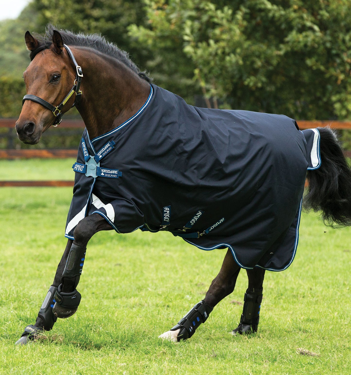 Couverture de paddock Amigo Bravo 12 Lite 0gr Disc