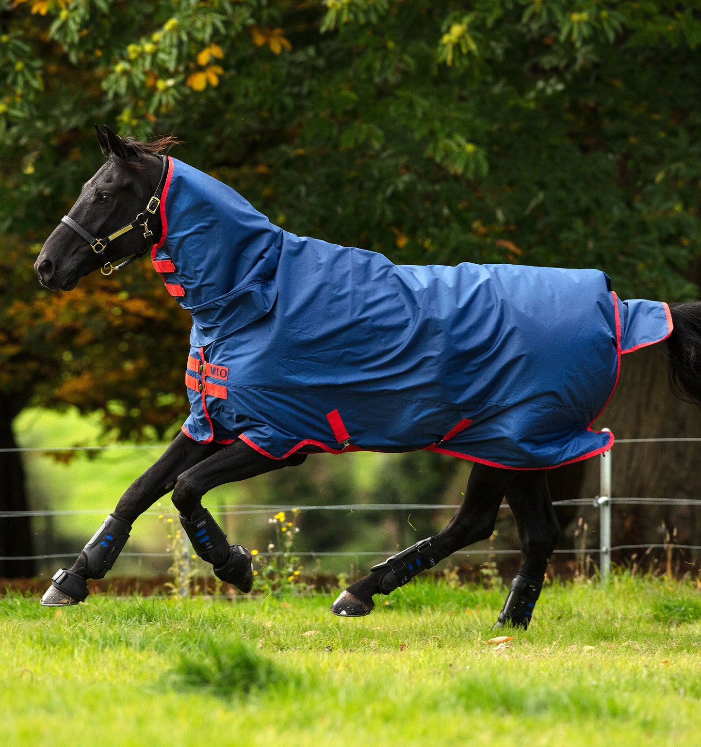 Couverture de prés Horseware Mio Cou intégré 350gr