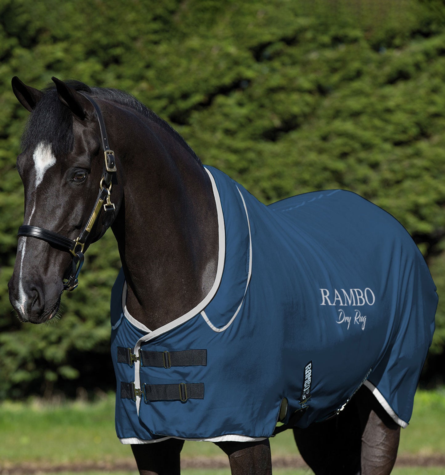 Chemise séchante Horseware Rambo Supreme Dry avec cou