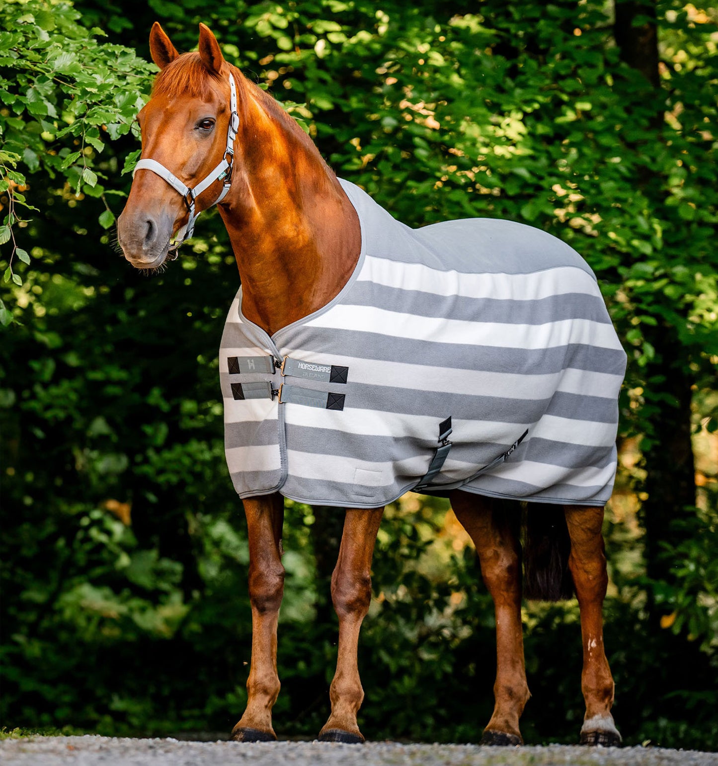 Chemise séchante polaire Horseware Rambo "Newmarket"