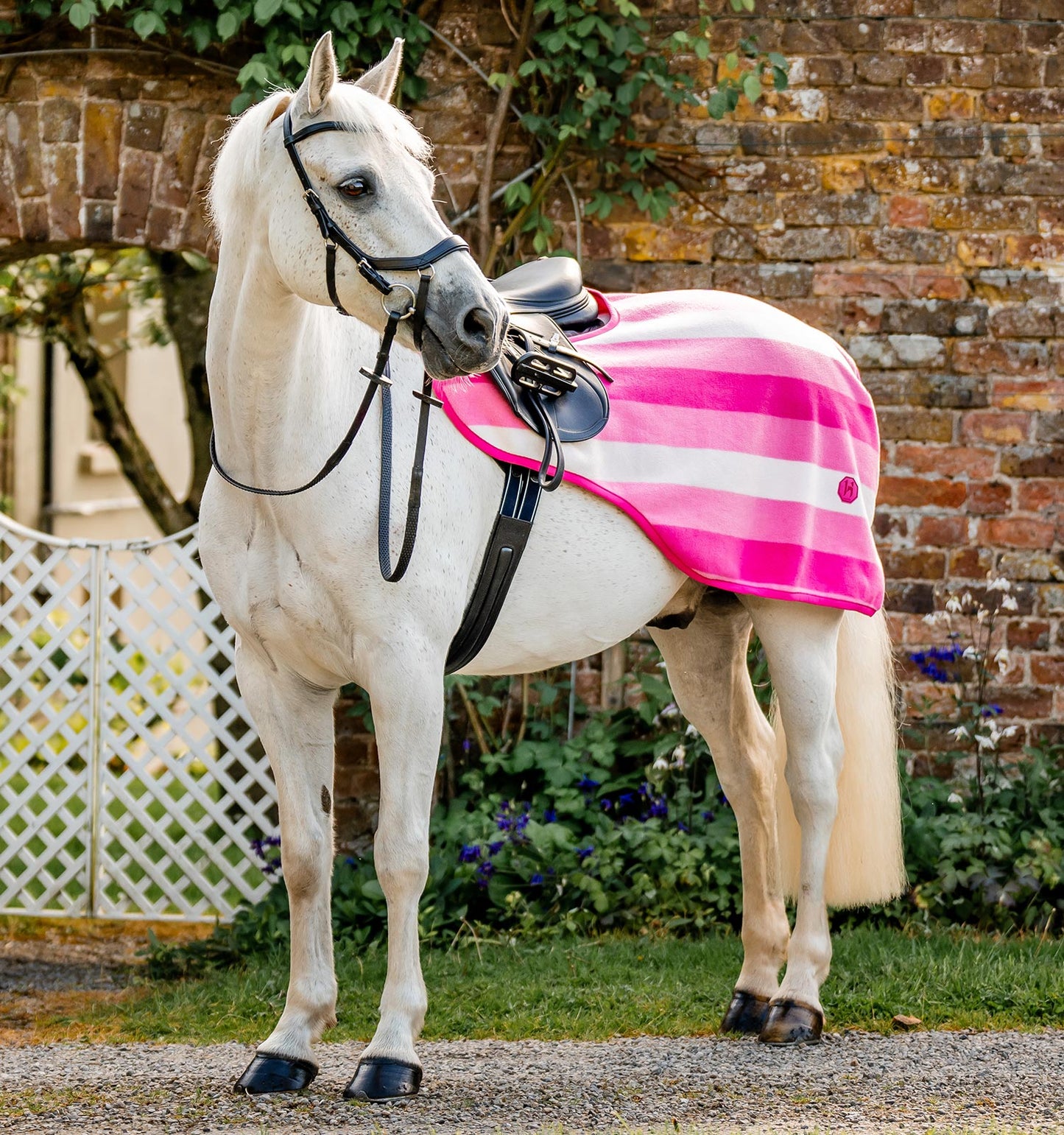 Couvre-rein Horseware "Newamarket"