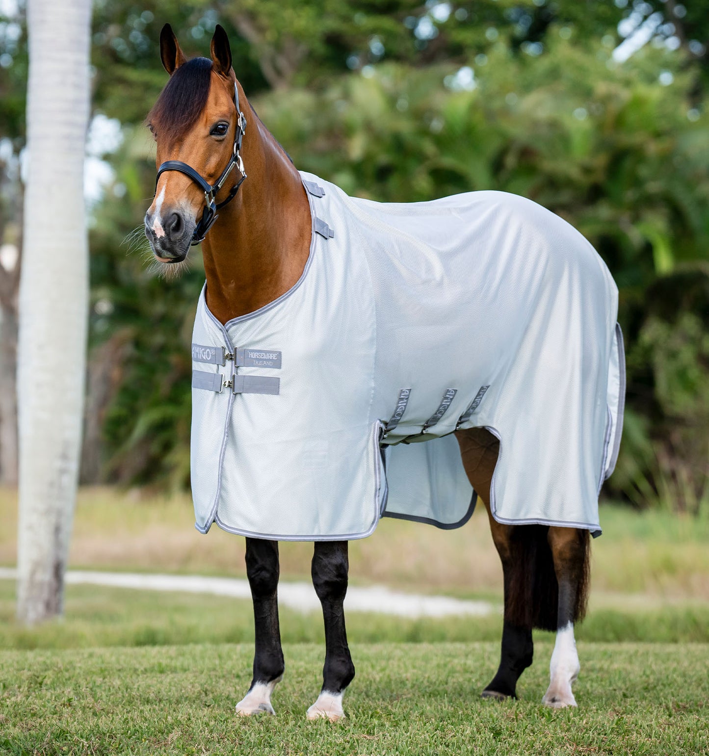 Couverture anti-mouches Horseware " Amigo Bug Buster"