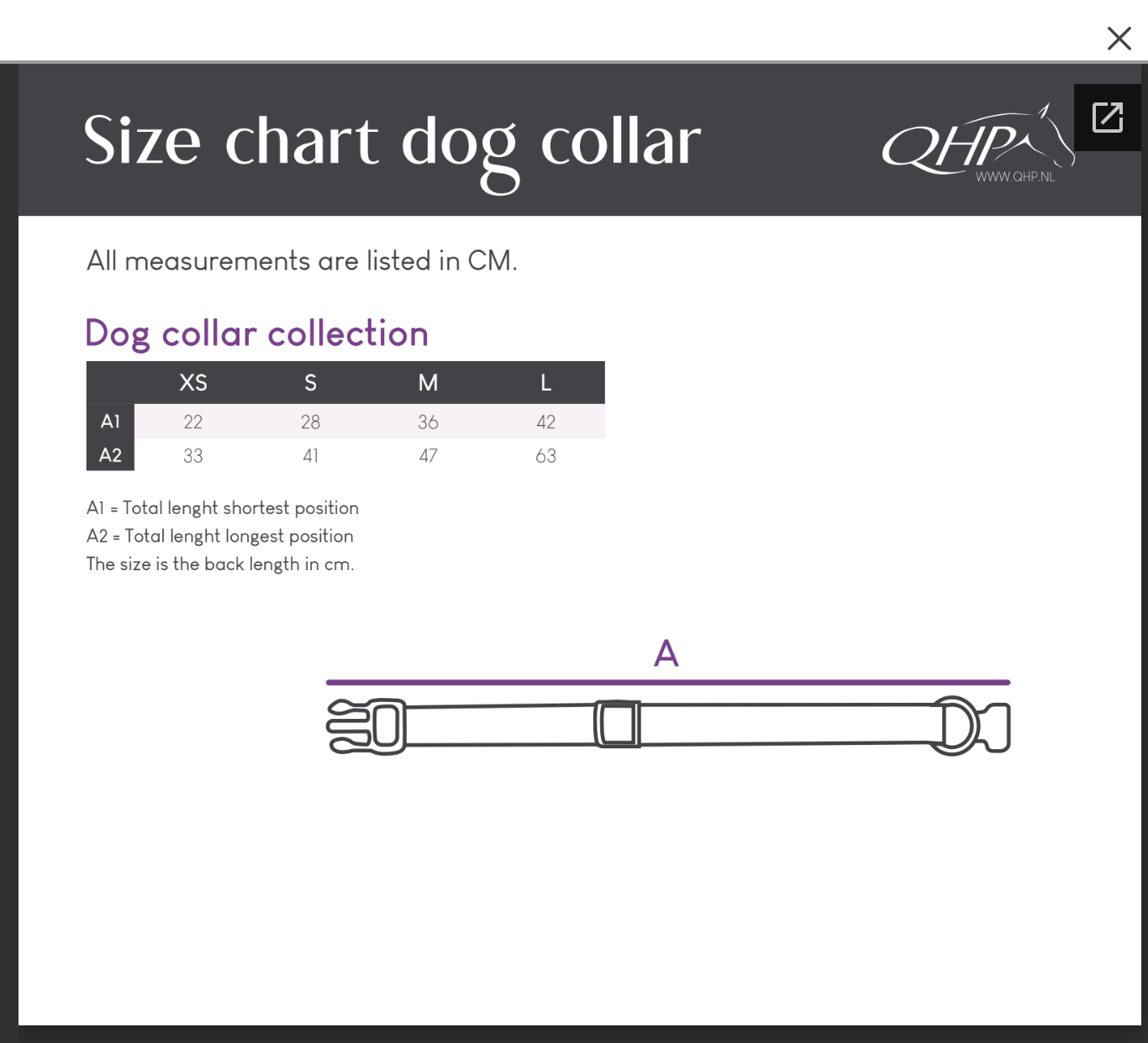 Collier pour chien QHP collection 26