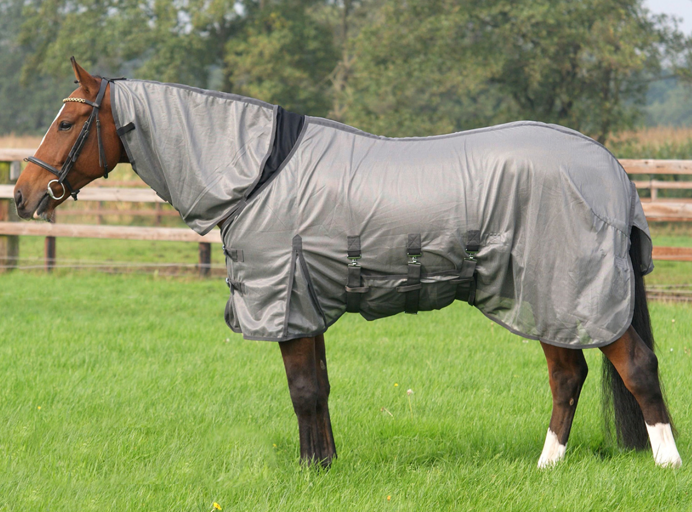 Chemise anti-mouche QHP "combo intégrale"