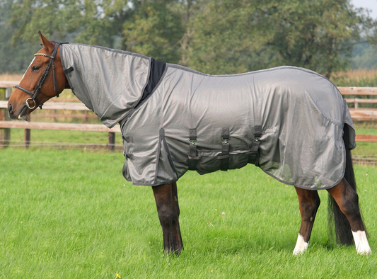 Chemise anti-mouche QHP "combo intégrale"