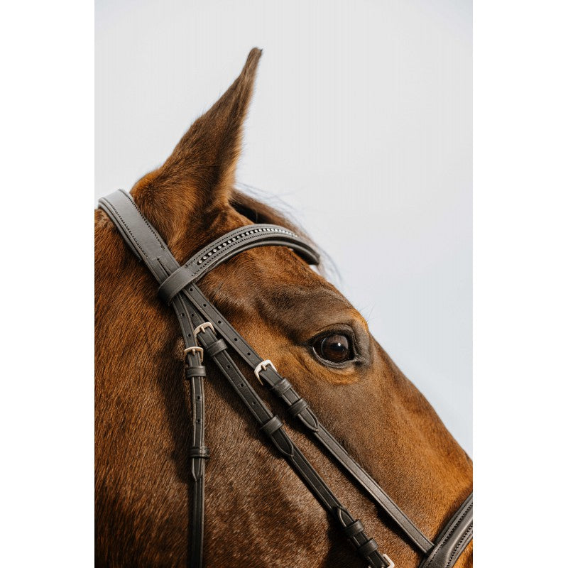 Bridon Norton « strass »