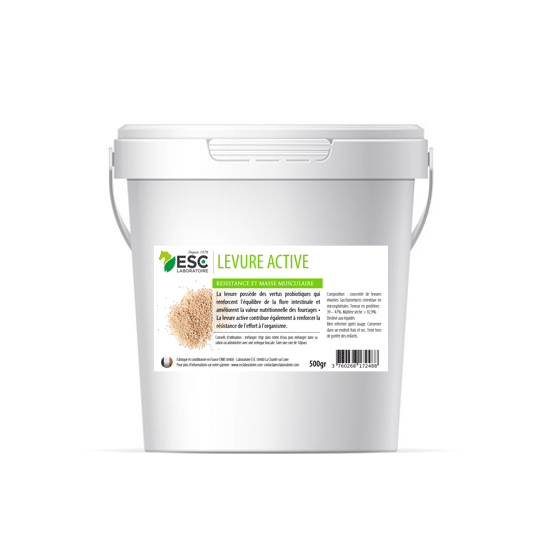 Levure active + - Probiotique flore intestinal et digestion