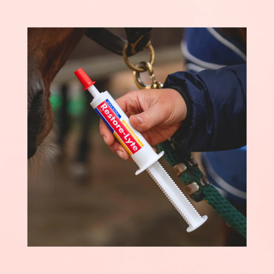 Restore lyte en serignue- Equine products Pack x3