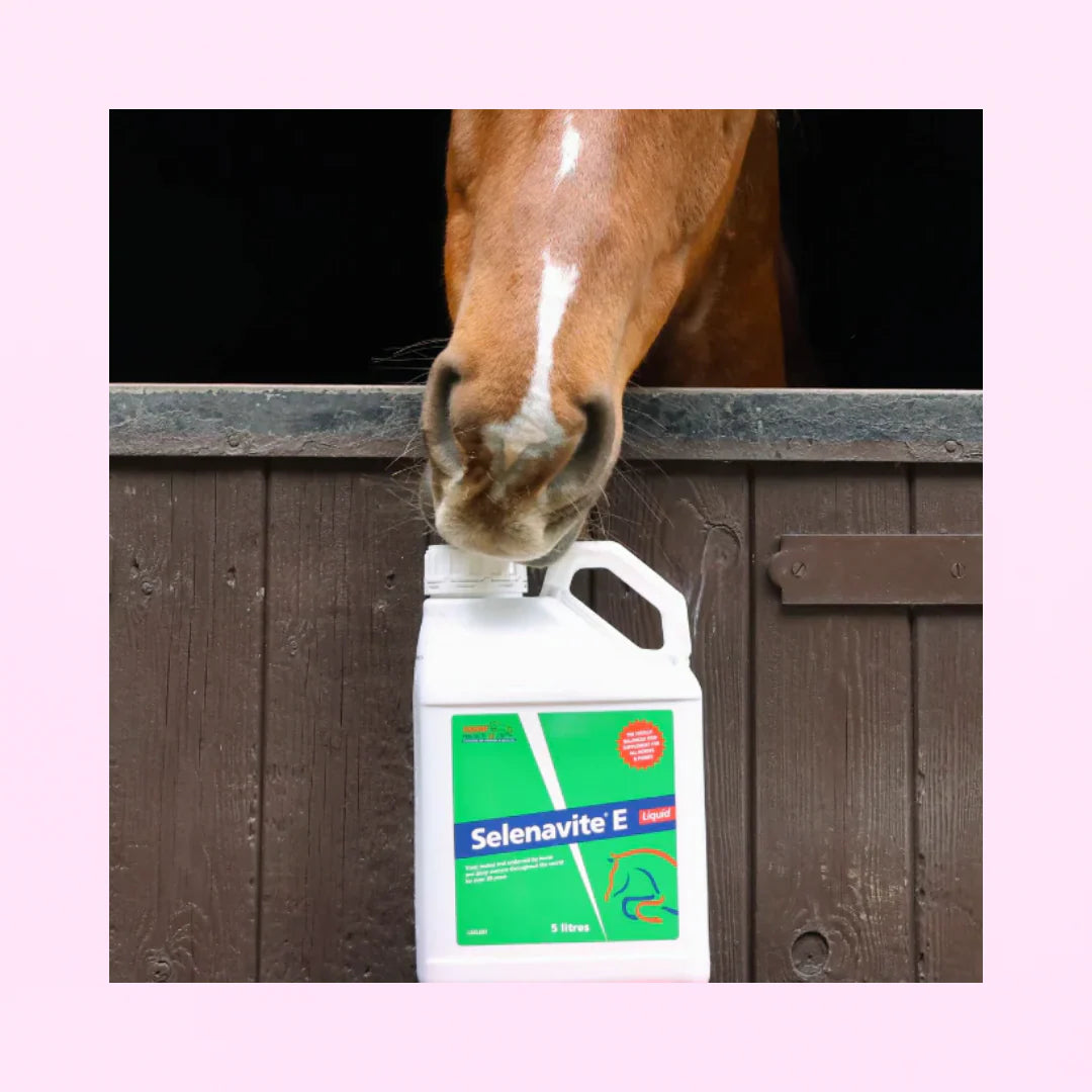 Selenative E - Equine Products Liquide