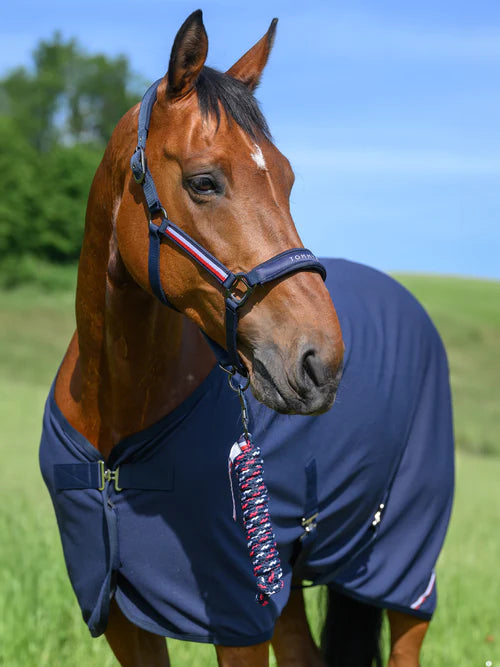Licol+longe Tommy Hilfiger "Yale"