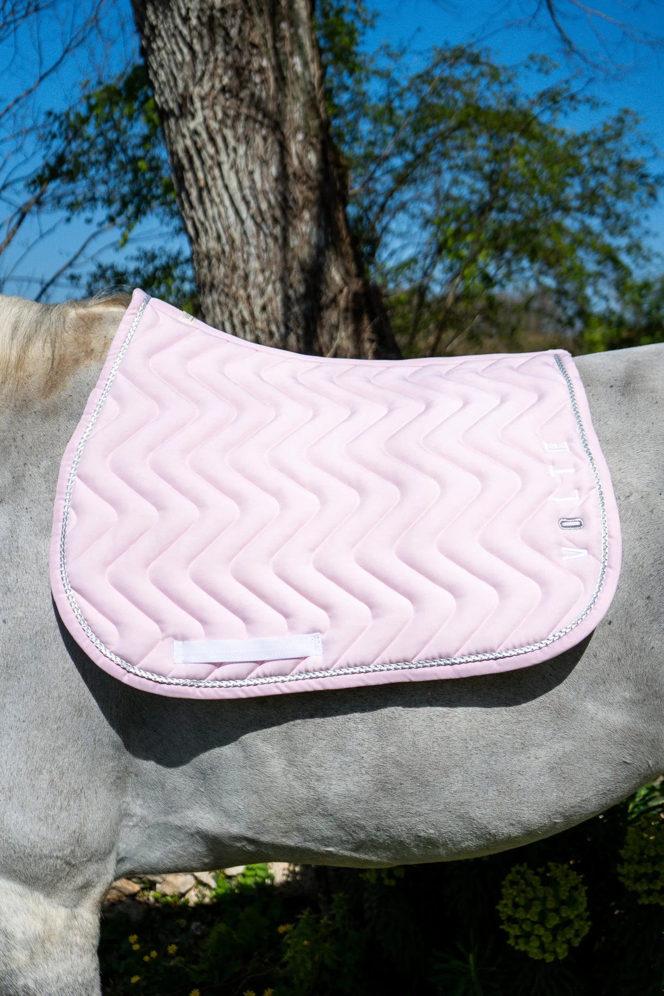 Tapis Volte "Le Pétillant" - Rose