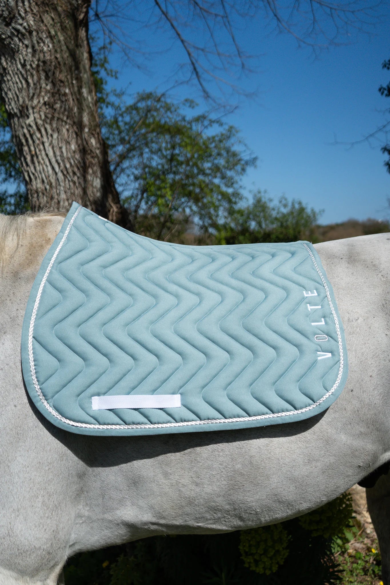 Tapis Volte "Le Pétillant" - Vert