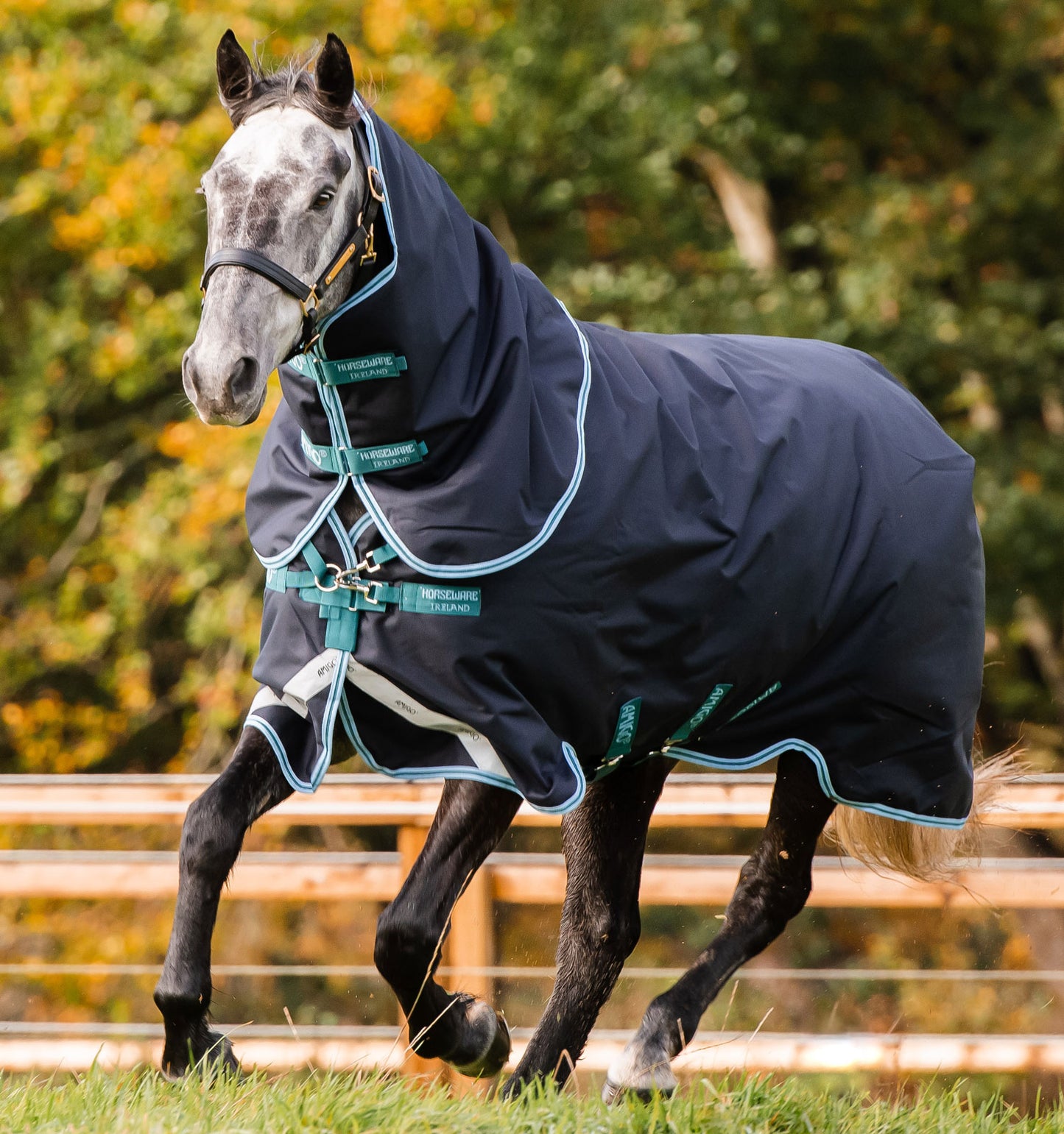 Couverture de paddock Horseware " Amigo Bravo 12 plus" 250gr 1200D