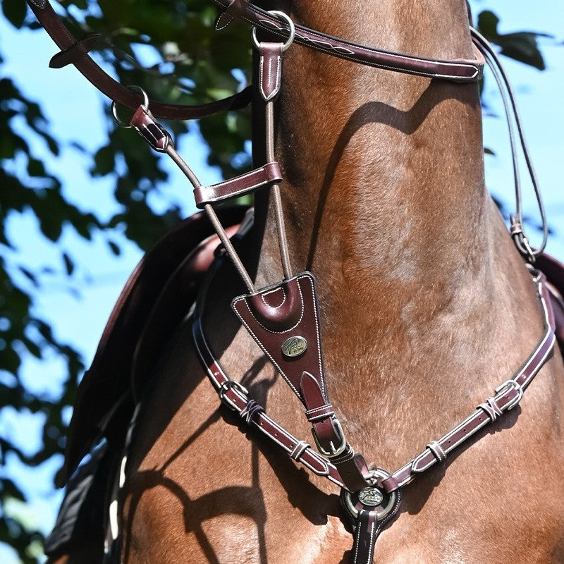 Martingale élastique de collier -Jump'in