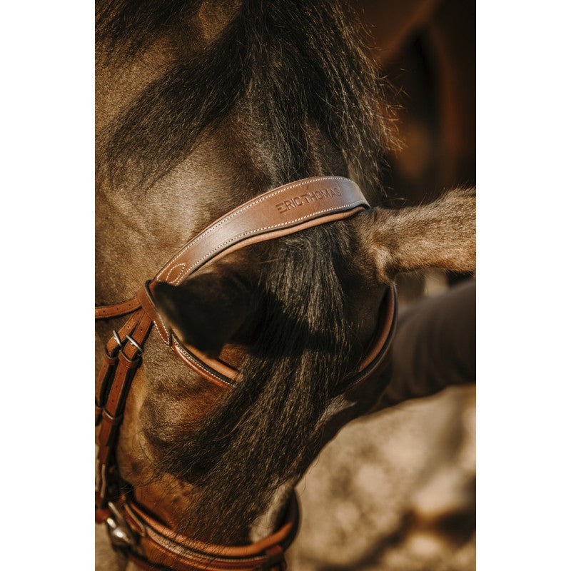 Bridon Eric Thomas "Work"