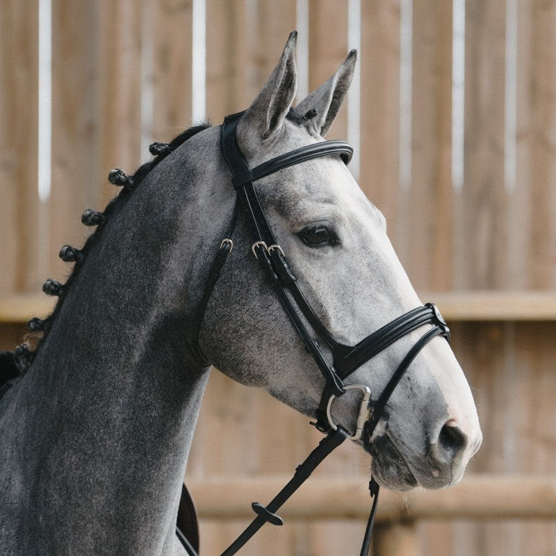 Bridon Jump'in "Evolution" - Gamme Origin