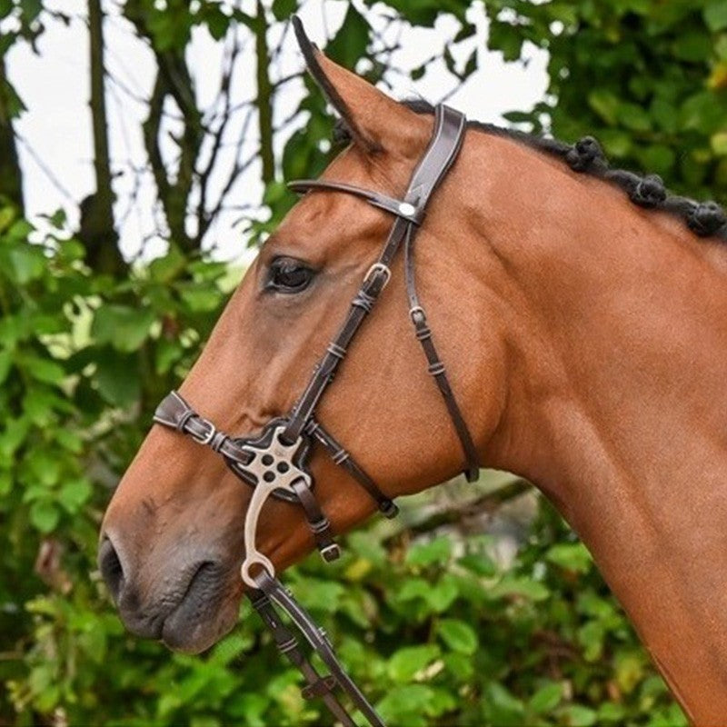 Vintage Don Ricardo Aluminium Hackamore Bit • Western • Cheval Vintage Don Ricardo Aluminium Hackamore Bit • Western • Cheval