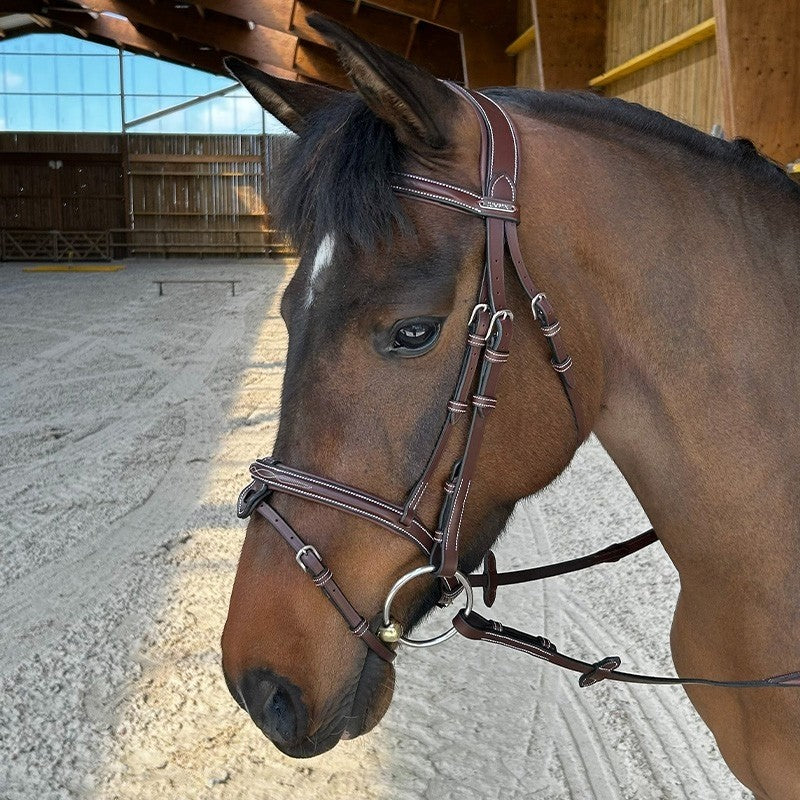Bridon Paris PONEY muserolle combinée - Collection One