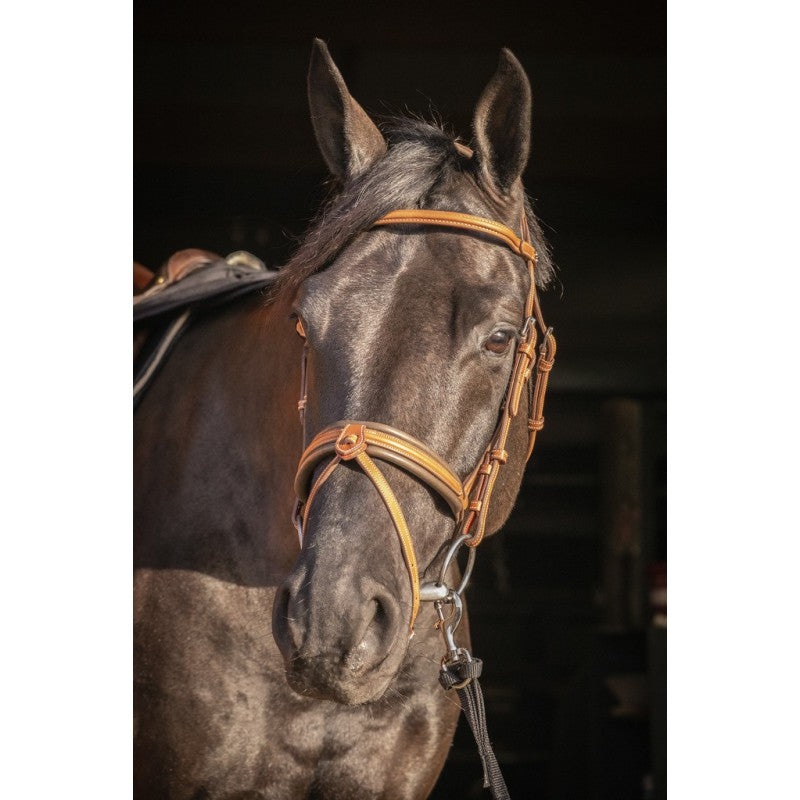 Bridon Pénélope Leprevost "Elegance"