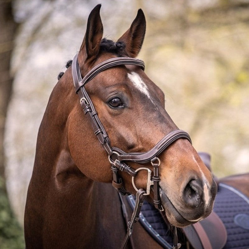 Bridon Jump'in "Summer" Week