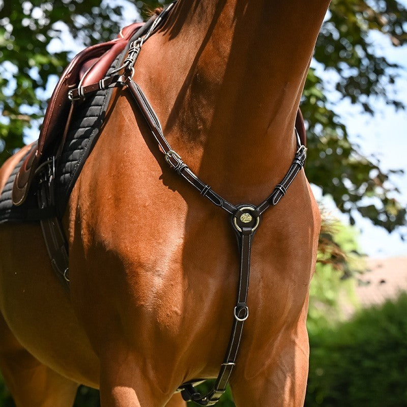 Collier de chasse Jump'in "Wednesday" - Collection Week