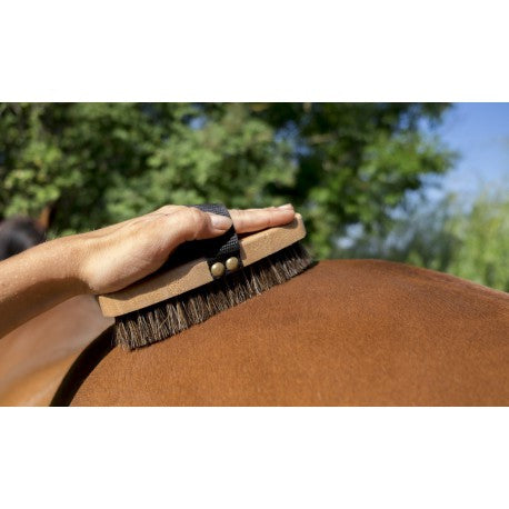 Brosse extra douce - Hippo-tonic