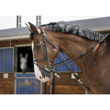 Gogue à poulie Riding World