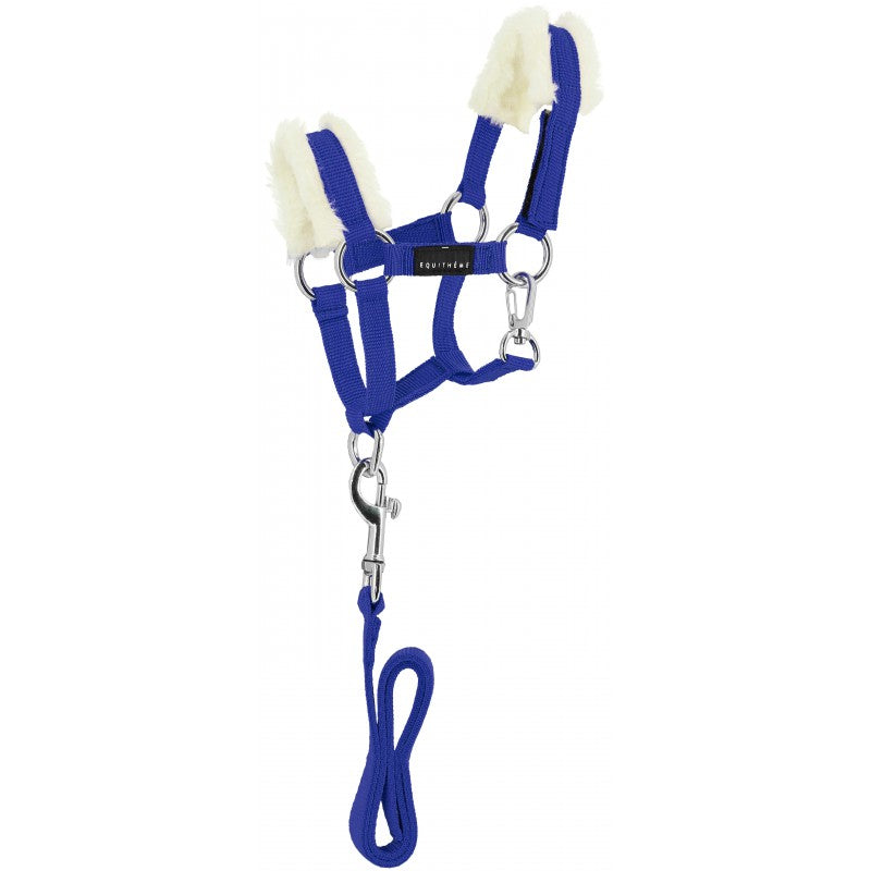 Mini licol + longe pour peluche Pony Academy