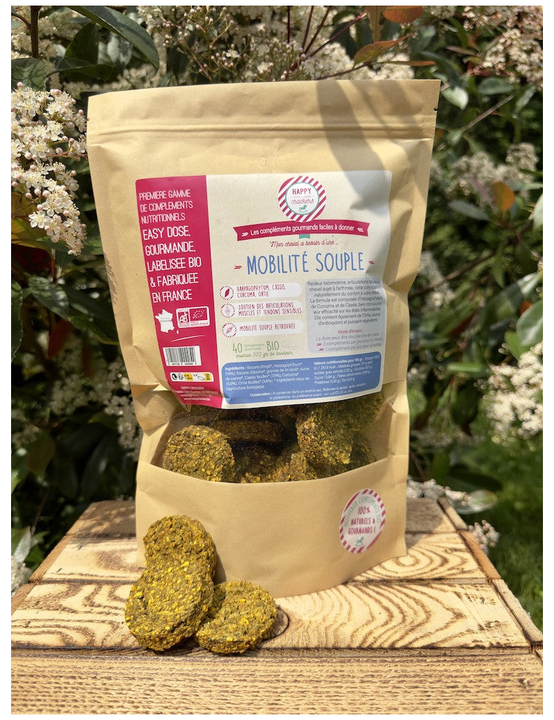 Complément "Mobilité et Souplesse"