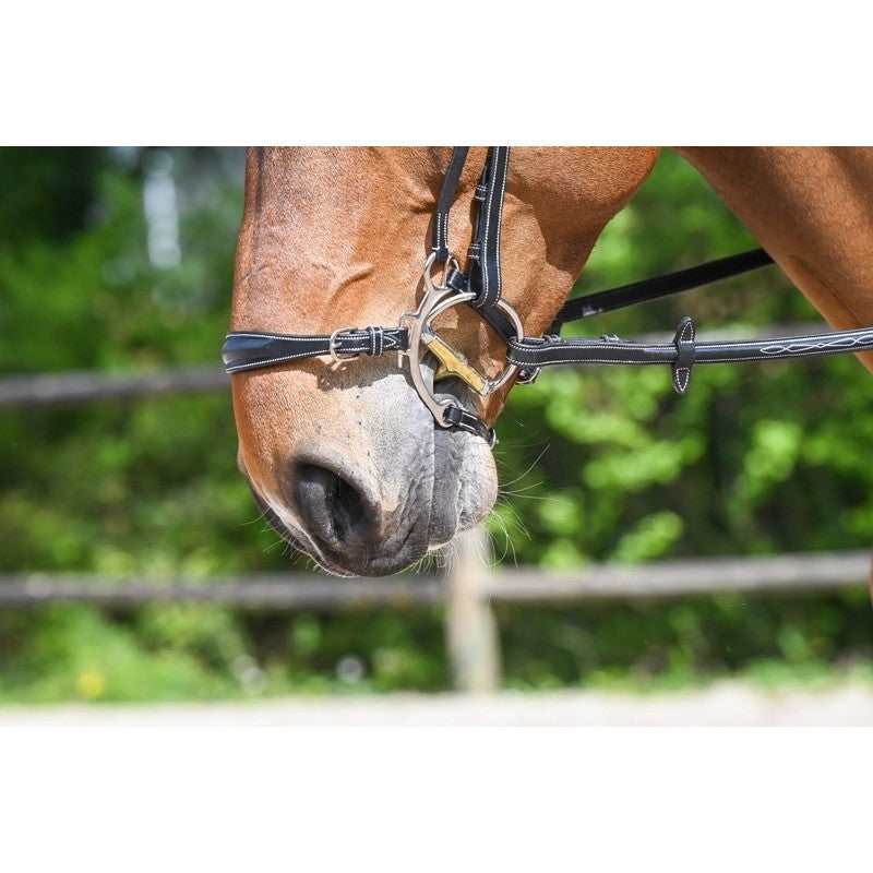 Muserolle Jump'in Hackamore
