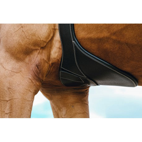 Sangle Bavette Norton "magnet"