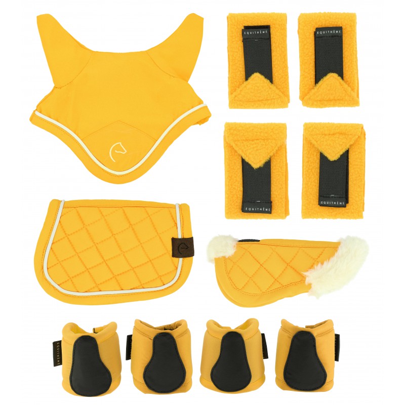 Ensemble accessoires Peluche Pony Academy